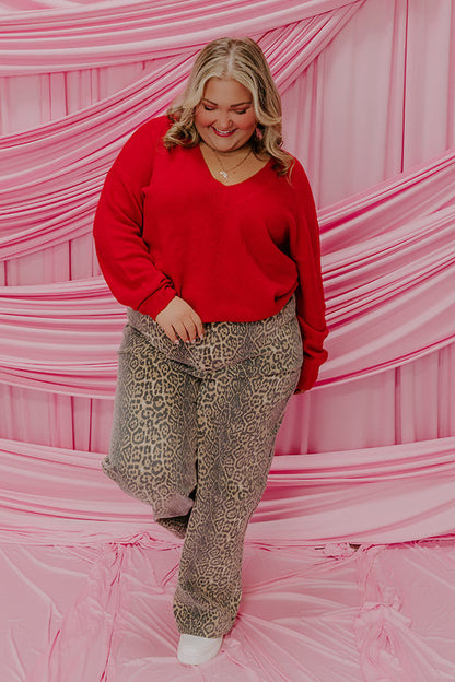 Coy Smile Knit Sweater Top Curves