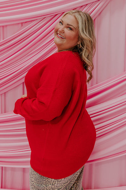 Coy Smile Knit Sweater Top Curves