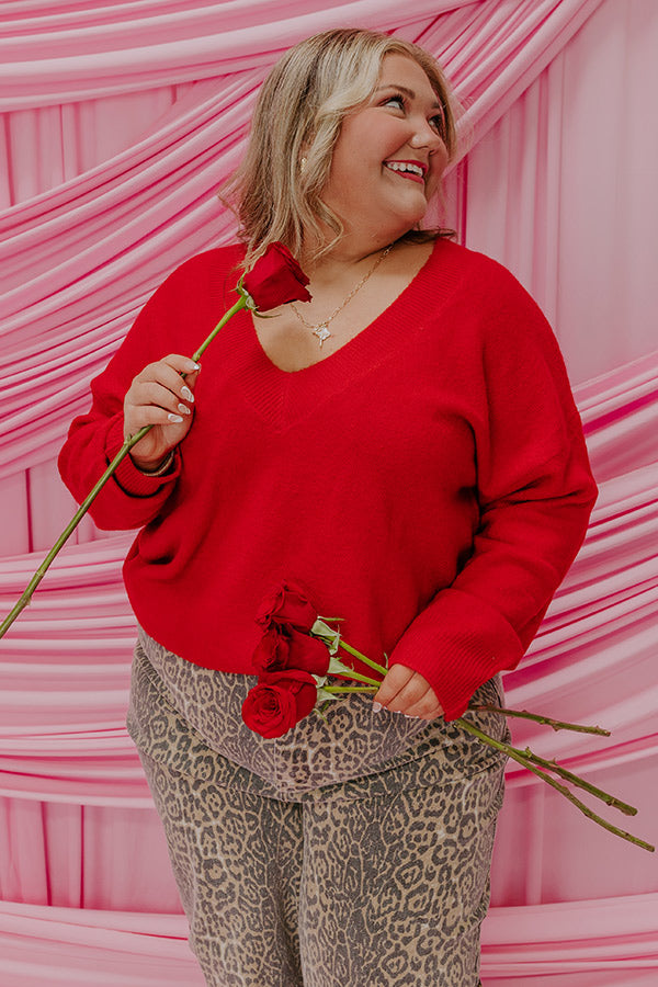 Coy Smile Knit Sweater Top Curves