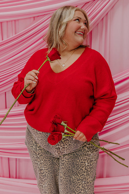 Coy Smile Knit Sweater Top Curves