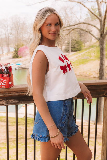 USA Charm Embroidered Crop Tee