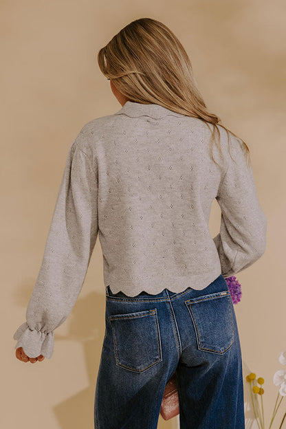Chic Agenda Pointelle Knit Sweater Top